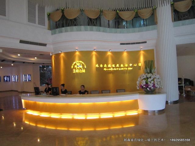 珠海首例植物墻