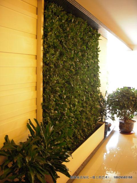 萬(wàn)科首例法式植物墻