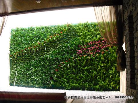 供應(yīng)珠海室內(nèi)綠化墻，珠海室內(nèi)綠化墻報(bào)價(jià)，珠海室內(nèi)綠化墻設(shè)計(jì)