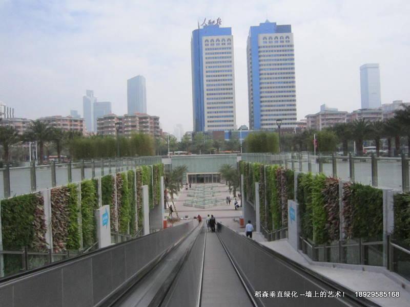 稻森植物墻的概念