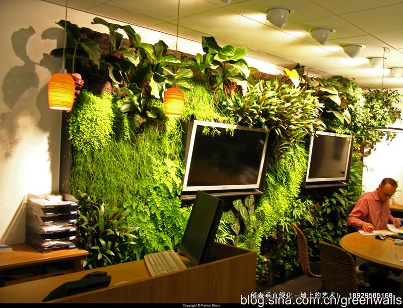 垂直綠化*者稻森植物墻