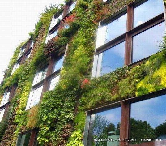 室外垂直綠化，室外垂直綠化公司，室外垂直綠化價(jià)格