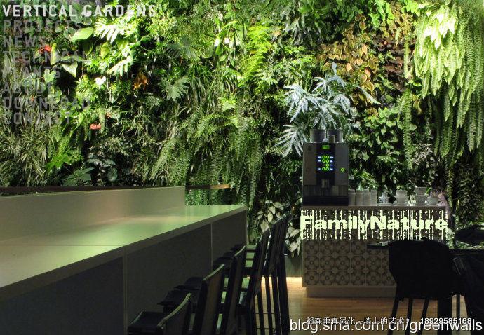 墻上的藝術(shù)垂直綠化香港