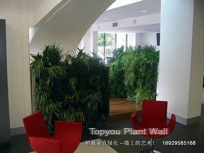 *部會(huì)所酒店商場(chǎng)植物墻-稻森*部會(huì)所酒店商場(chǎng)植物墻稻森