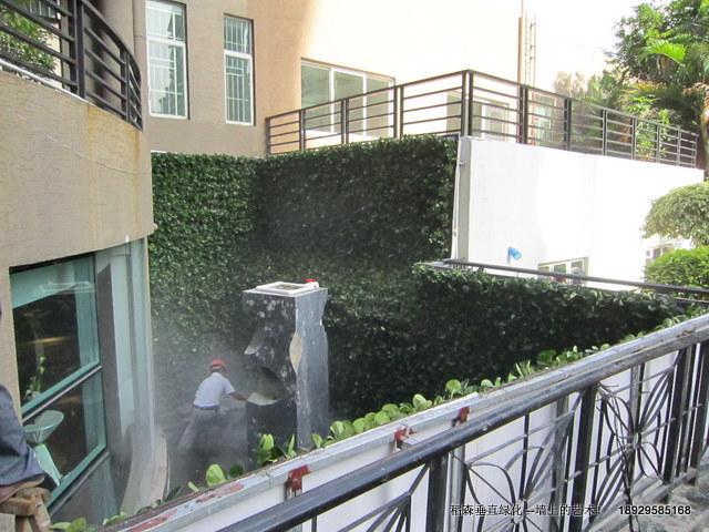 專業(yè)設計屋頂綠化，深圳專業(yè)設計屋頂綠化，珠海專業(yè)設計屋頂綠化