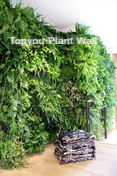 植物墻在裝修中逐漸被大家認同圖片