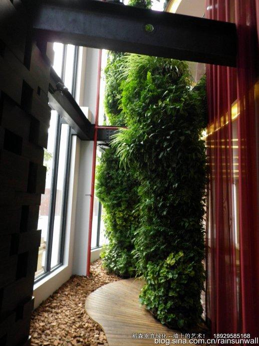 垂直綠化價格圖片