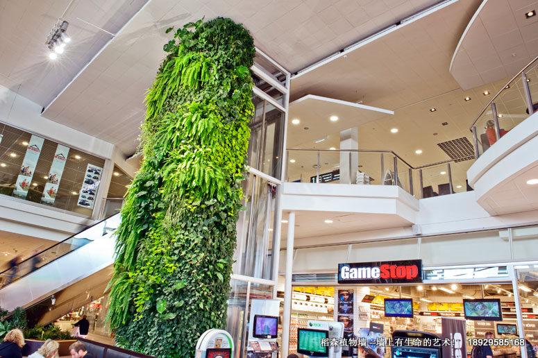 廣州室內(nèi)綠化墻，廣州室內(nèi)綠化墻報價，廣州室內(nèi)綠化墻安裝