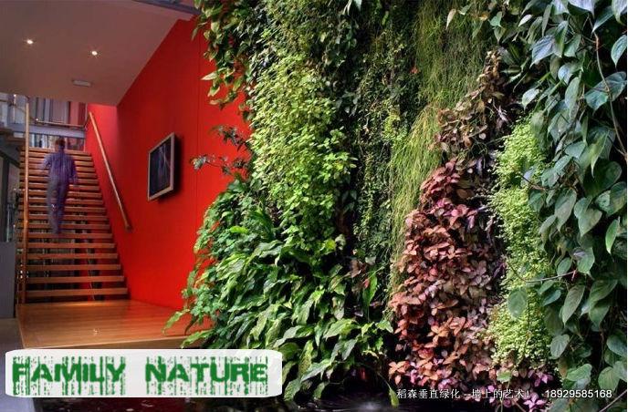 室內綠化，室內綠化公司，室內綠化報價，室內綠化設計