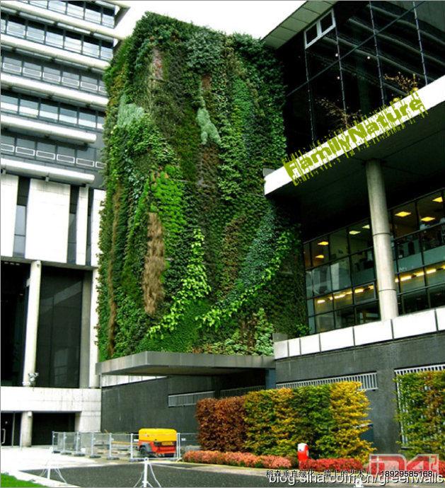 垂直綠化*者稻森植物墻