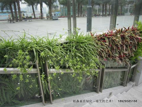 亞運用上植物墻