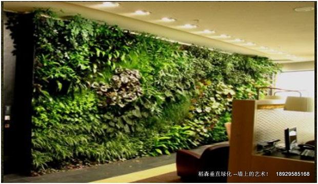 辦公室屏風(fēng)植物墻