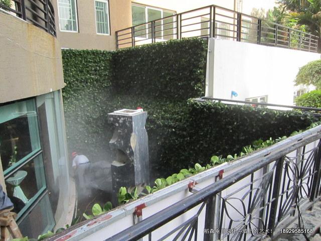 專業(yè)設計屋頂綠化，深圳專業(yè)設計屋頂綠化，珠海專業(yè)設計屋頂綠化