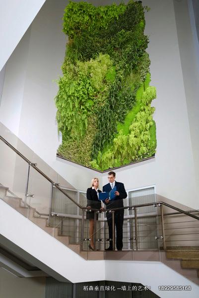 來自自然的立體花園植物墻