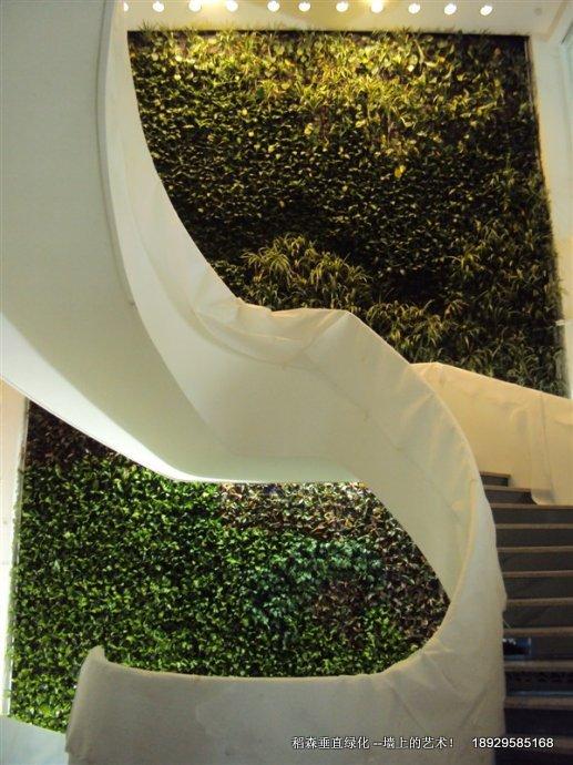 垂直綠化價格，廣州垂直綠化價格，深圳垂直綠化價格