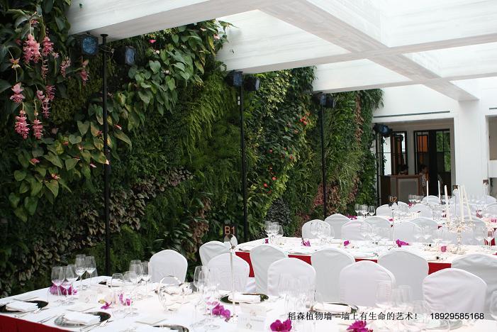 供應深圳室內(nèi)綠化墻，深圳室內(nèi)綠化墻設計，深圳室內(nèi)綠化墻價格