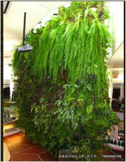 辦公室屏風(fēng)植物墻