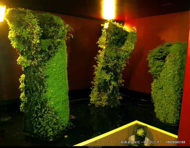 垂直綠化立體綠化