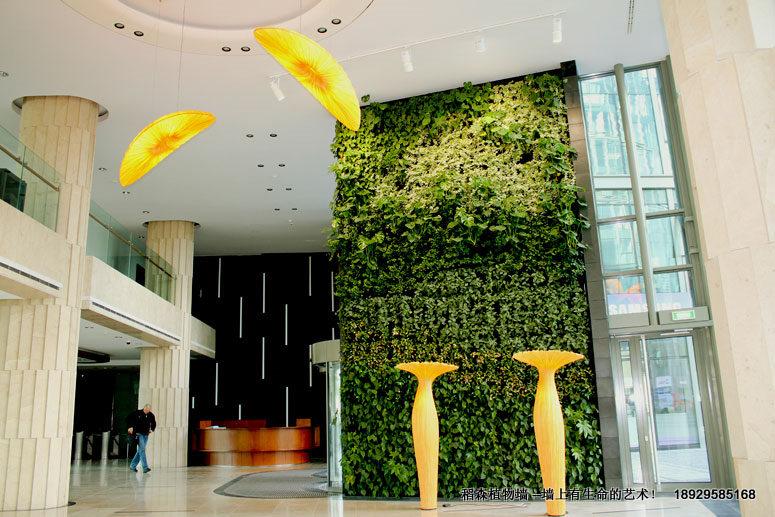 廣州室內(nèi)綠化墻，廣州室內(nèi)綠化墻報價，廣州室內(nèi)綠化墻安裝