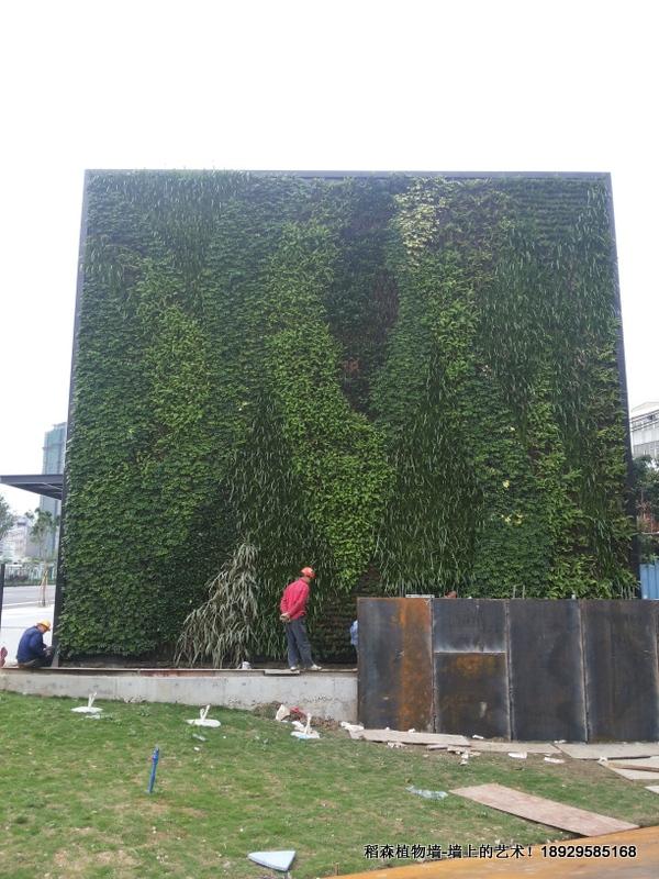 智匯Park北天河植物墻