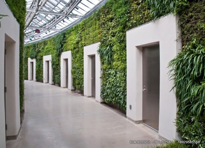 辦公室內(nèi)綠化，辦公室內(nèi)綠化價格，辦公室內(nèi)綠化設計