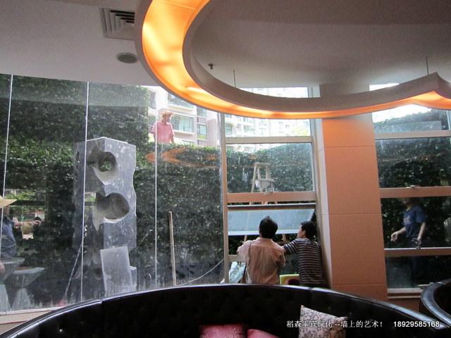 珠海首例植物墻