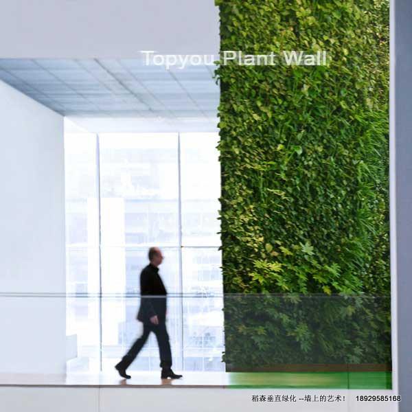 來自自然的立體花園植物墻