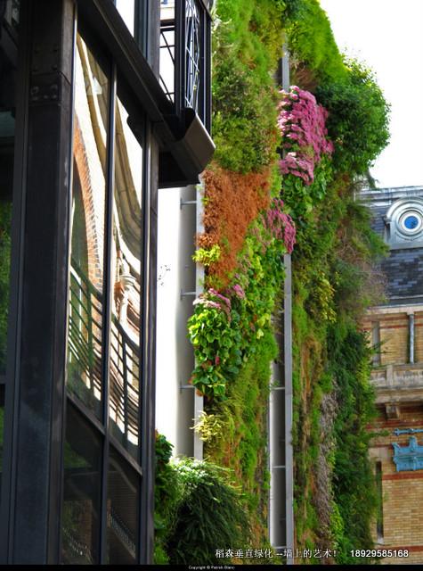 廣州新中軸現(xiàn)世博植物墻圖片