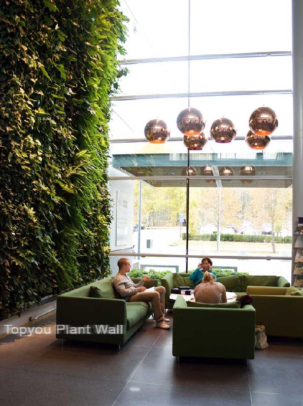 來自自然的立體花園植物墻