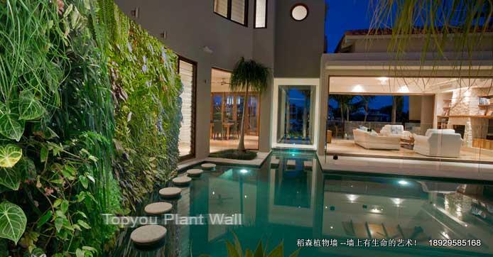 供應(yīng)室內(nèi)立體綠化墻，室內(nèi)立體綠化墻設(shè)計(jì)，室內(nèi)立體綠化墻報(bào)價(jià)