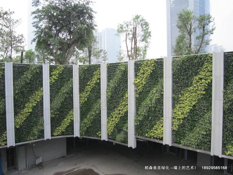 稻森植物墻的概念