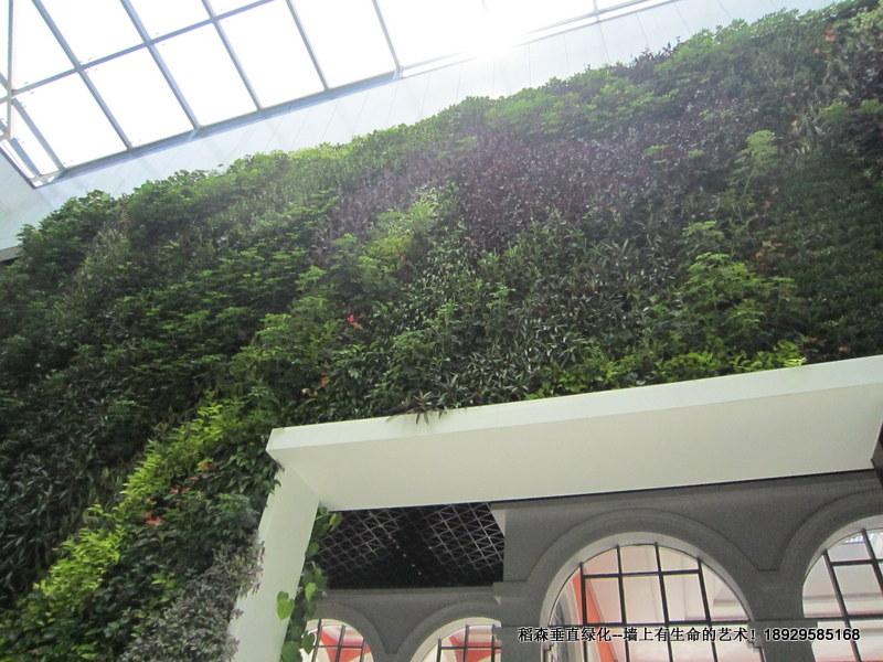 翠亨規(guī)劃館植物墻