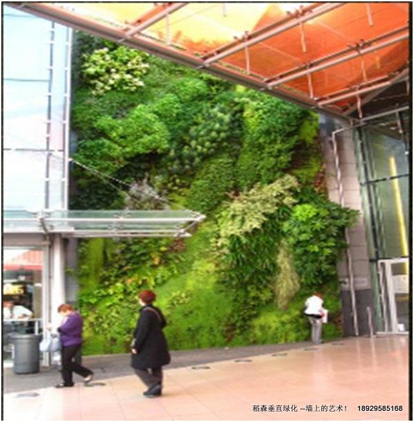 稻森立體綠化的概念圖片
