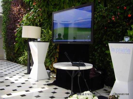 稻森綠墻-維護更方便更簡單！