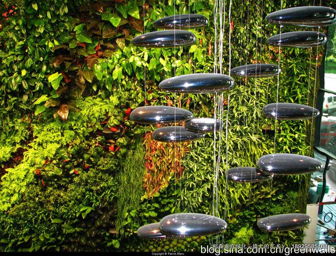 墻上的藝術(shù)垂直綠化香港