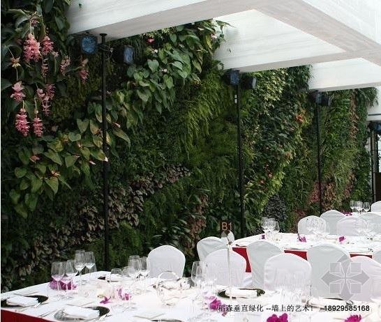 綠墻垂直綠化圖片