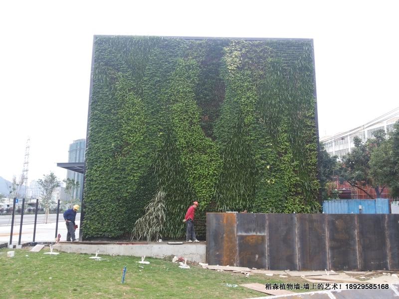 智匯Park北天河植物墻