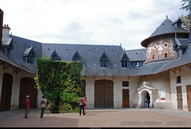 植物墻圖片/植物墻樣板圖 (3)