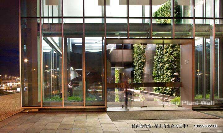 供應(yīng)東莞室內(nèi)綠化墻，東莞室內(nèi)綠化墻安裝，東莞室內(nèi)綠化墻報(bào)價(jià)