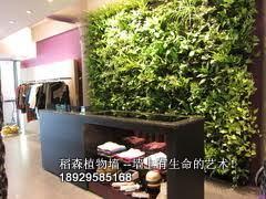 室內(nèi)綠化墻價格