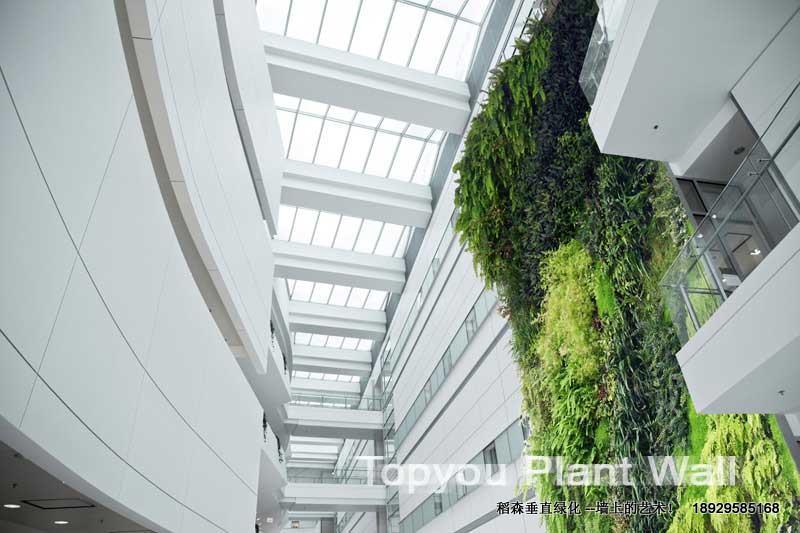 綠墻推陳出新-改變*！