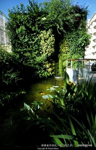 植物墻圖片/植物墻樣板圖 (2)