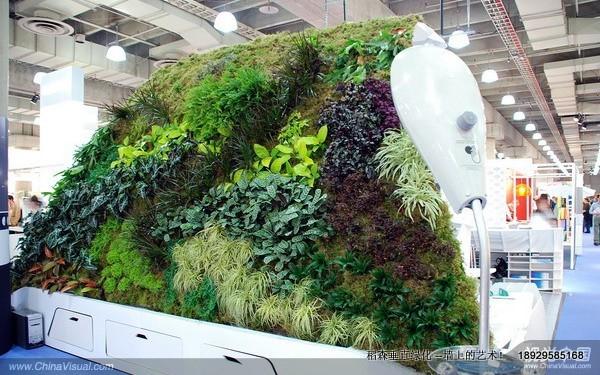 室內(nèi)垂直綠化價(jià)格，廣州室內(nèi)垂直綠化價(jià)格，東莞室內(nèi)垂直綠化價(jià)格