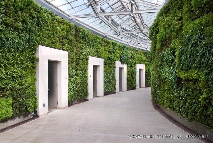 稻森植物墻有哪些好處！
