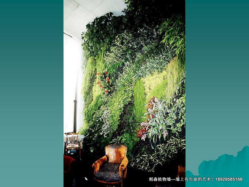 供應(yīng)墻體綠化公司，廣州墻體綠化公司，天河區(qū)墻體綠化公司