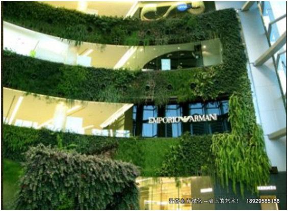 稻森立體綠化的概念圖片/稻森立體綠化的概念樣板圖 (4)