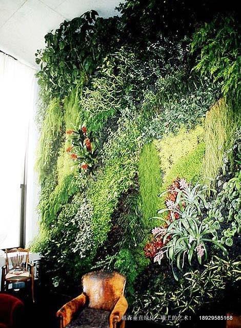 室外垂直綠化，室外垂直綠化公司，室外垂直綠化價(jià)格