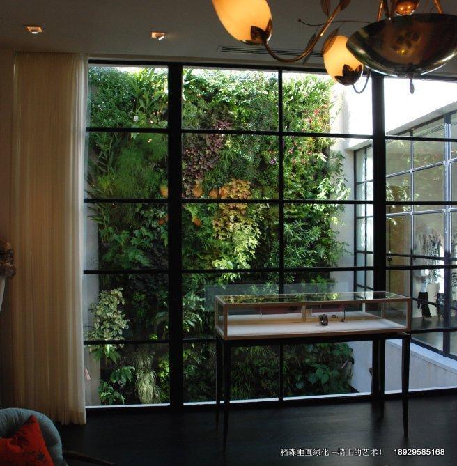 綠墻推陳出新-改變*！