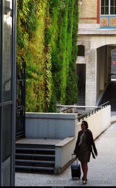 廣州新中軸現(xiàn)世博植物墻