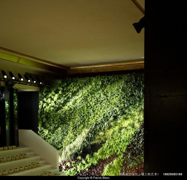 廣州亞運(yùn)會開幕現(xiàn)場植物墻